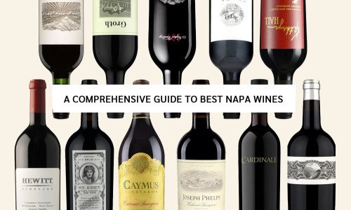 A Comprehensive Guide to Best Napa Wines Types and Gifting